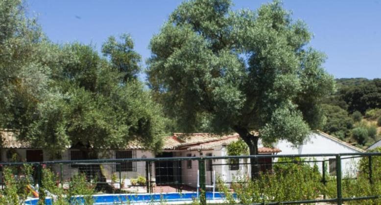 Casa Abanto Villa Ronda Exterior photo